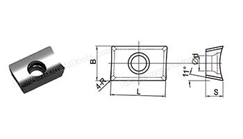 APEX1003