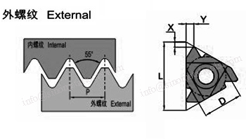 ER-55-C.jpg