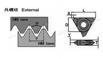 ER-55-V-C.jpg