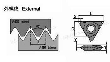 ER-60-V-C.jpg